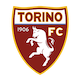 Torino logo